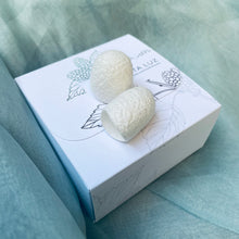 Load image into Gallery viewer, SPECIAL GIFT Skin Care Silk Cocoon