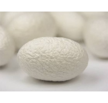 Load image into Gallery viewer, SPECIAL GIFT Skin Care Silk Cocoon