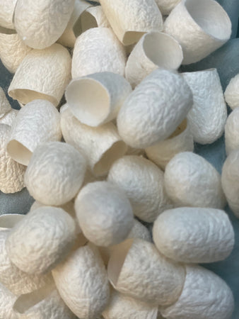SPECIAL GIFT Skin Care Silk Cocoon