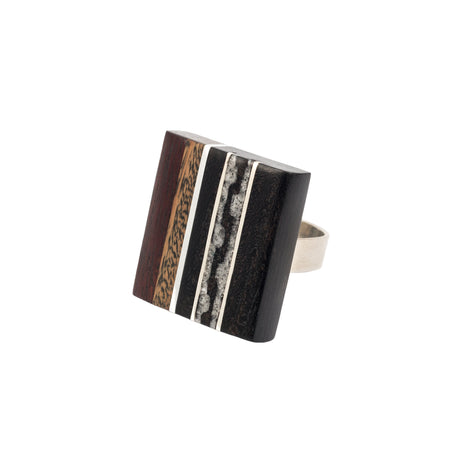 Anillo Guarda Pampa